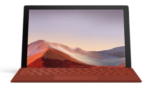 陆河清洁和维护 Surface